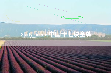 白银中国十七块金牌