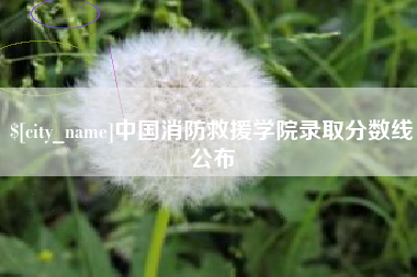 白银中国消防救援学院录取分数线公布