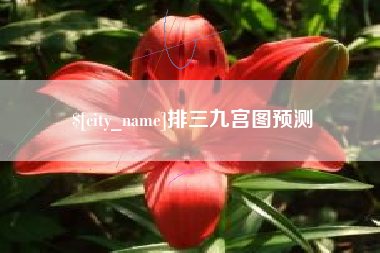 白银排三九宫图预测