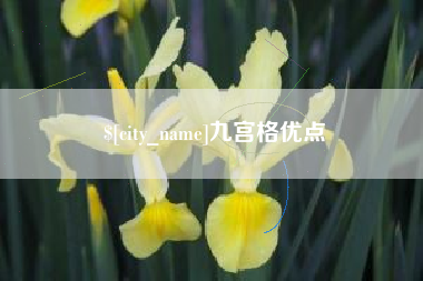 白银九宫格优点