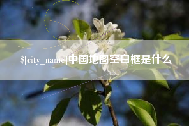 白银中国地图空白框是什么