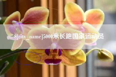 白银5000米长跑国家运动员