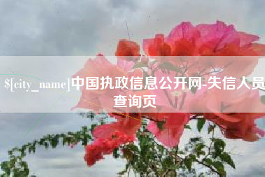 白银中国执政信息公开网-失信人员查询页