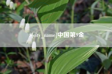 白银中国第9金