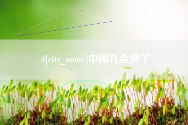 白银中国几金牌了