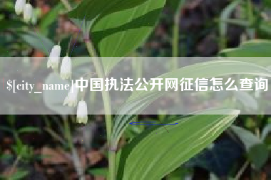 白银中国执法公开网征信怎么查询