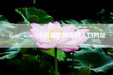 白银中国消防网官网入口网址