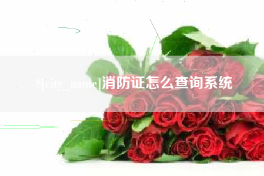 白银消防证怎么查询系统