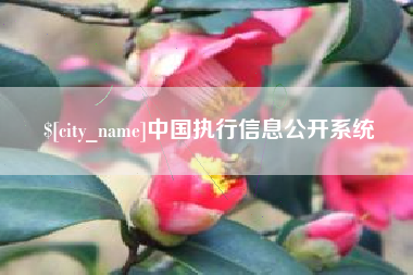 白银中国执行信息公开系统