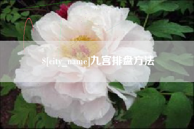 白银九宫排盘方法