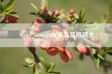 白银2021年九宫格风水