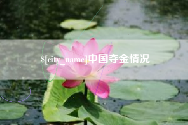 白银中国夺金情况