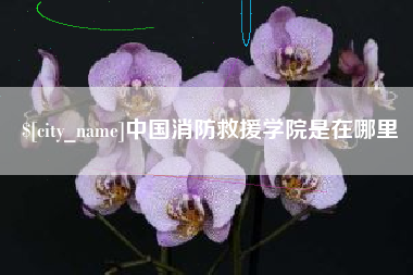 白银中国消防救援学院是在哪里