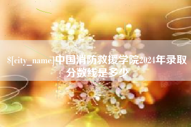 白银中国消防救援学院2024年录取分数线是多少