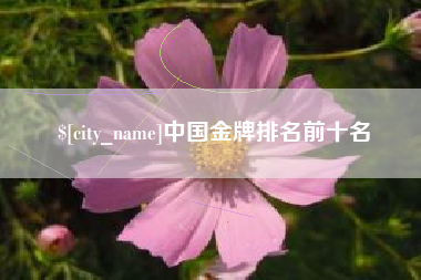 白银中国金牌排名前十名