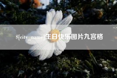 白银生日快乐图片九宫格