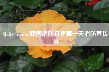 白银我国消防日是哪一天消防宣传日