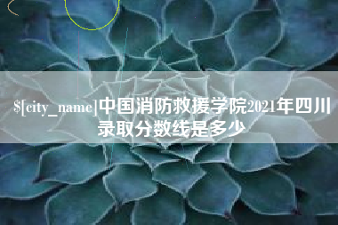 白银中国消防救援学院2021年四川录取分数线是多少