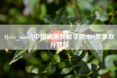 白银中国消防救援学院2019年录取分数线