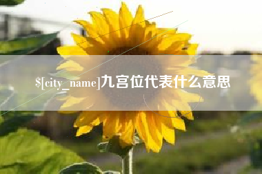 白银九宫位代表什么意思