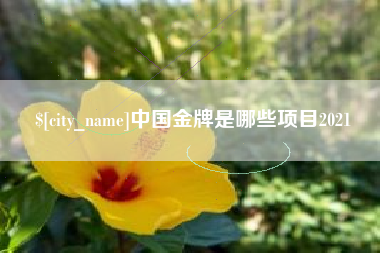 白银中国金牌是哪些项目2021