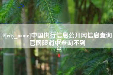 白银中国执行信息公开网信息查询官网限消中查询不到
