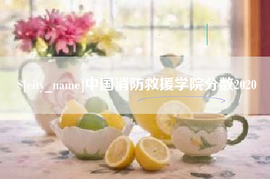 白银中国消防救援学院分数2020