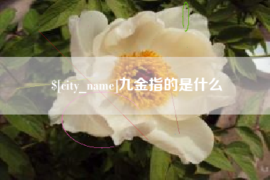 白银九金指的是什么