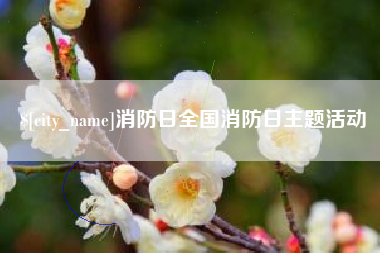 白银消防日全国消防日主题活动