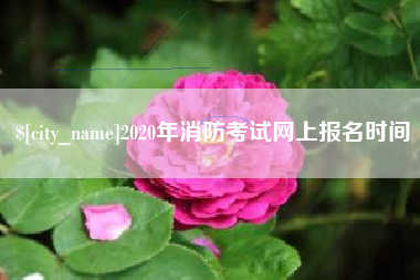 白银2020年消防考试网上报名时间