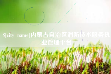 白银内蒙古自治区消防技术服务执业管理平台