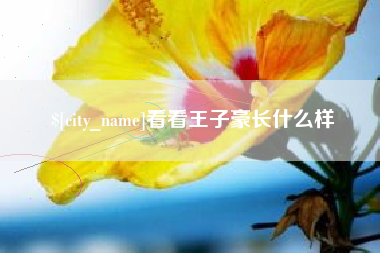 白银看看王子豪长什么样