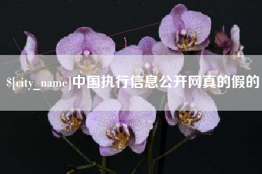 白银中国执行信息公开网真的假的