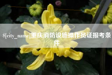 白银重庆消防设施操作员证报考条件