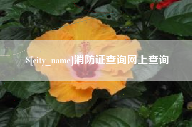 白银消防证查询网上查询