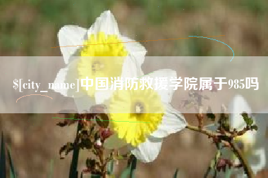 白银中国消防救援学院属于985吗