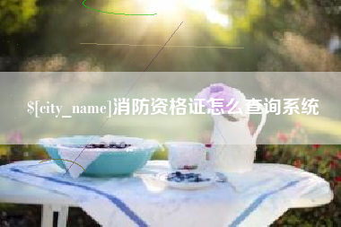 白银消防资格证怎么查询系统