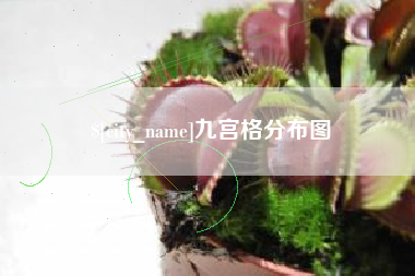 白银九宫格分布图