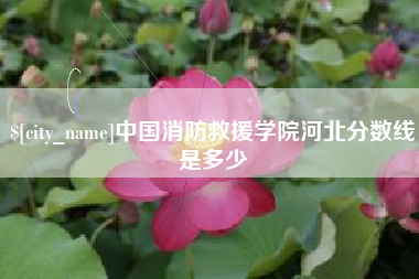 白银中国消防救援学院河北分数线是多少