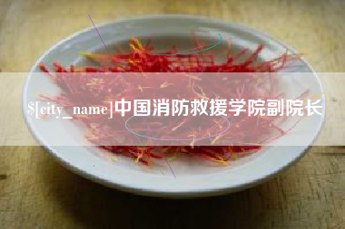 白银中国消防救援学院副院长