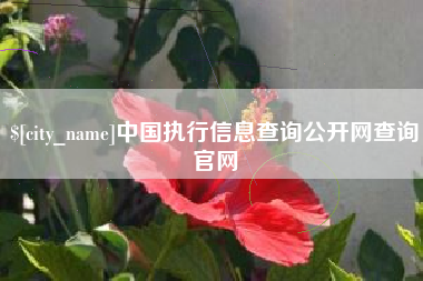 白银中国执行信息查询公开网查询官网
