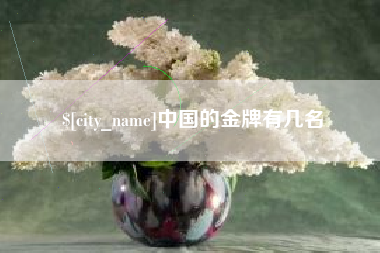 白银中国的金牌有几名