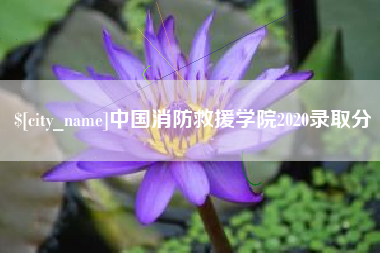 白银中国消防救援学院2020录取分