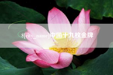 白银中国十九枚金牌