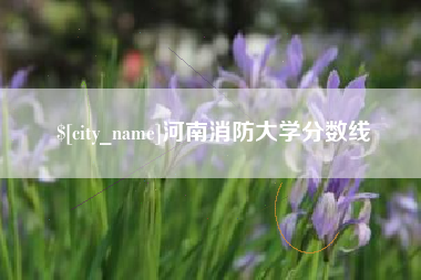 白银河南消防大学分数线