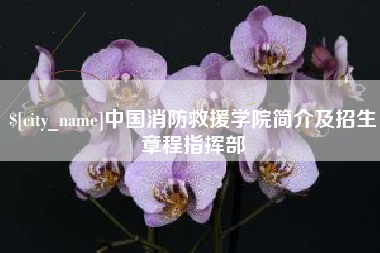 白银中国消防救援学院简介及招生章程指挥部