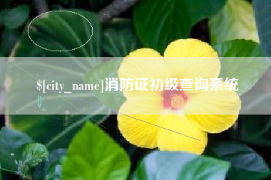 白银消防证初级查询系统
