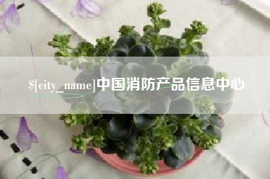 白银中国消防产品信息中心