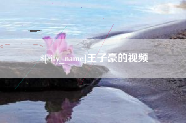 白银王子豪的视频
