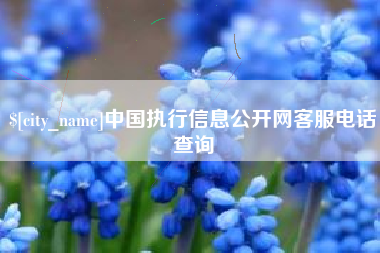白银中国执行信息公开网客服电话查询